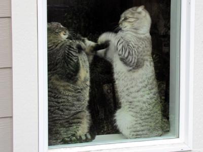 O słowa „polecani” wykreśleniu