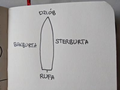 Złożoność terminu