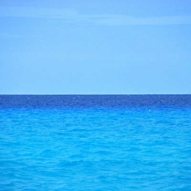 Ocean